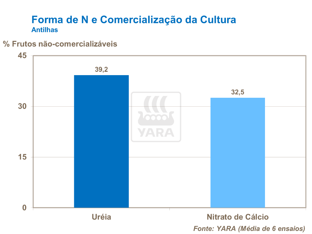 Forma de nitrog&ecirc;nio e comercializa&ccedil;&atilde;o da cultura