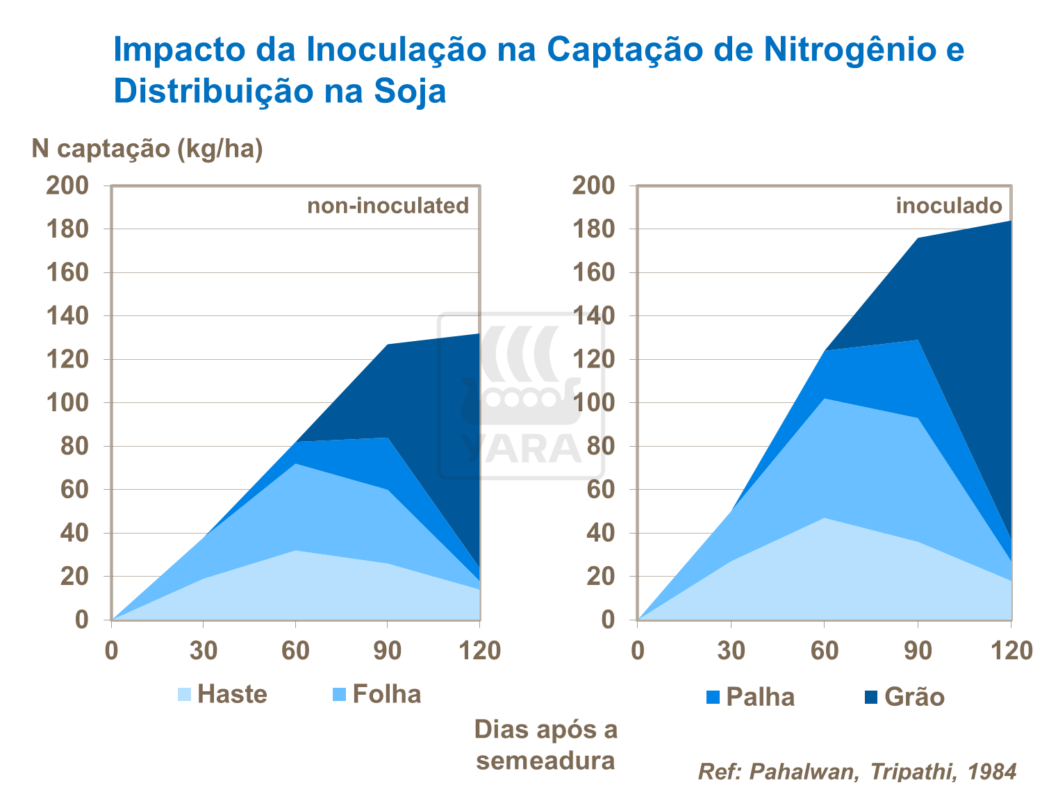 Impacto da inocula&ccedil;&atilde;o na capta&ccedil;&atilde;o de Nitrog&ecirc;nio