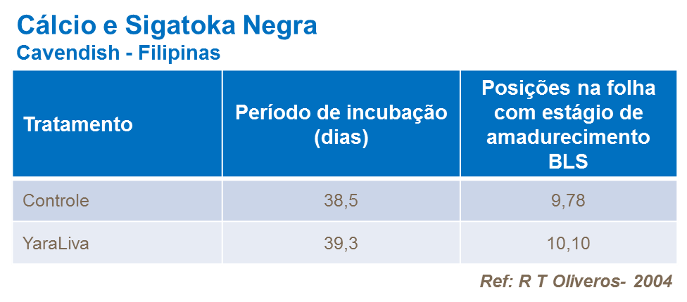 C&aacute;lcio e Sigatoka Negra