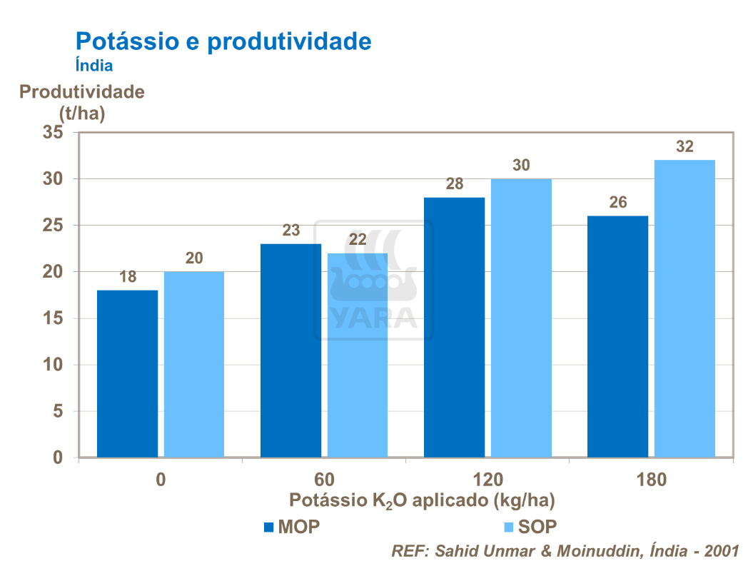 Pot&aacute;ssio e produtividade