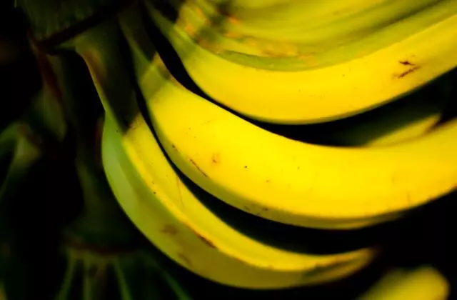  Quantos tipos de banana existem? Principais variedades