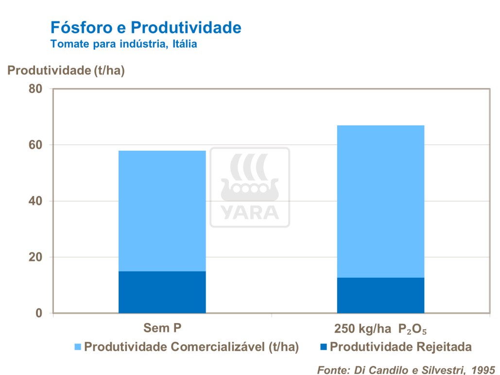 F&oacute;sforo e produtividade