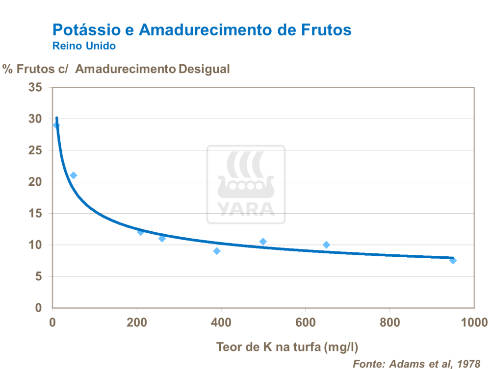 Pot&aacute;ssio e amadurecimento de frutos