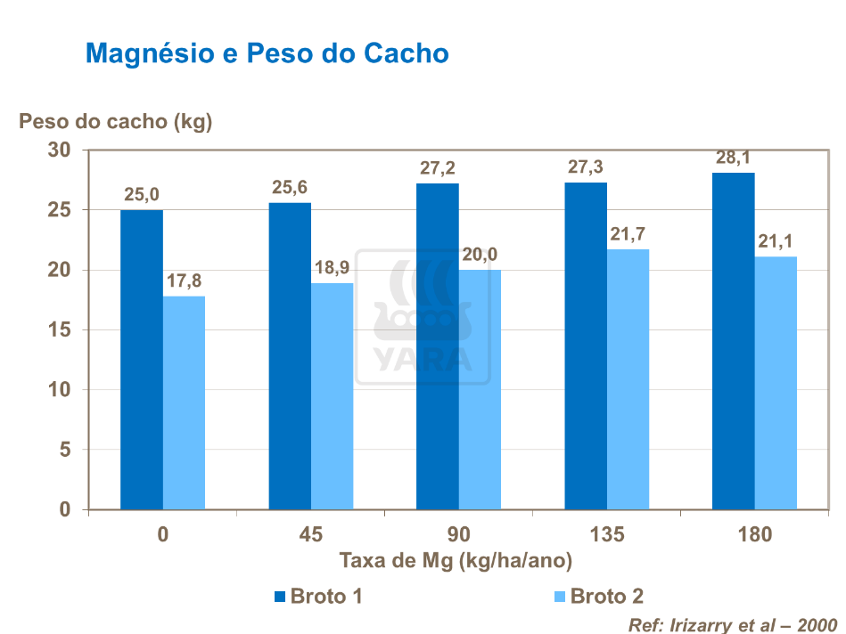 Magn&eacute;sio e peso do cacho