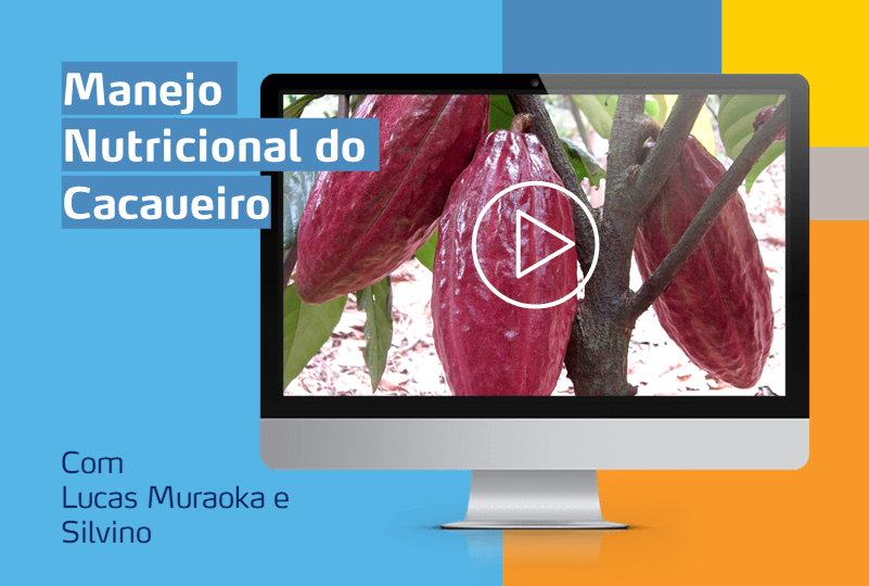 card com computador com imagem de uma cultura