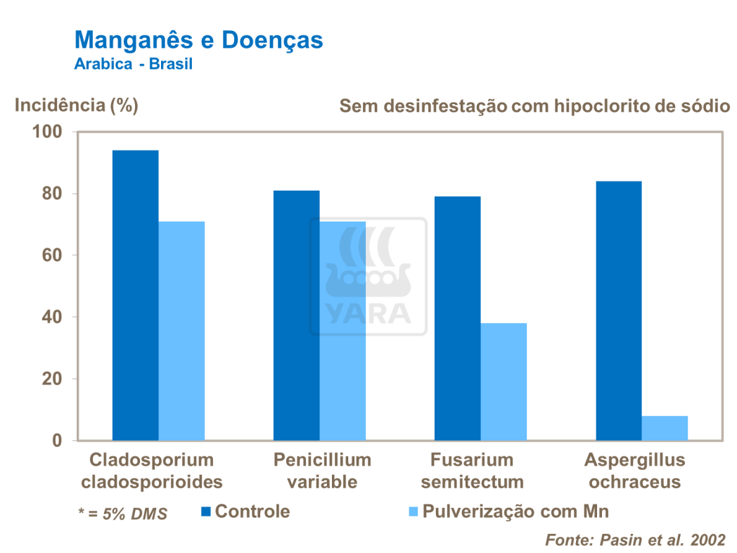 Mangan&ecirc;s e doen&ccedil;as