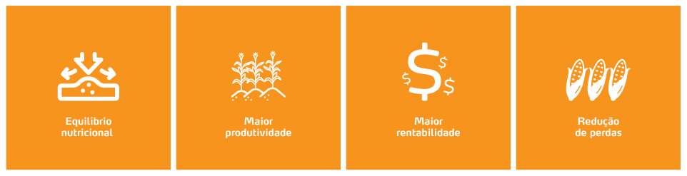 &Iacute;cones Benef&iacute;cios PNY_MaisMays.png