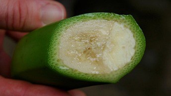 Corte de uma fruta madura