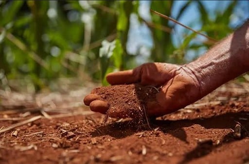 Mudanças climáticas e agricultura: como a crise afeta a produção no campo?