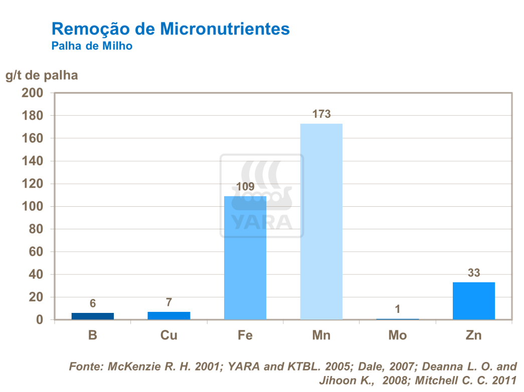 Remo&ccedil;&atilde;o de micronutrientes - Palha de milho