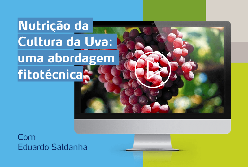 card com computador com imagem de uma cultura