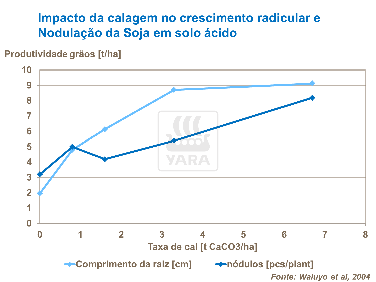 Impacto da calagem no crescimento radicular