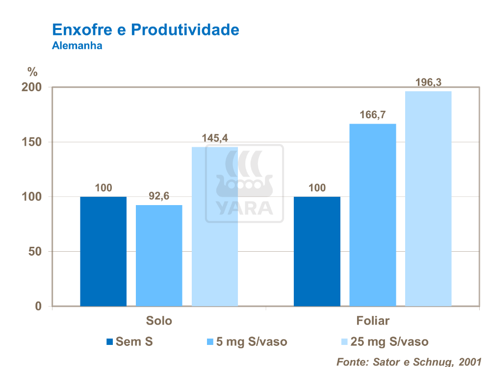 Enxofre e produtividade