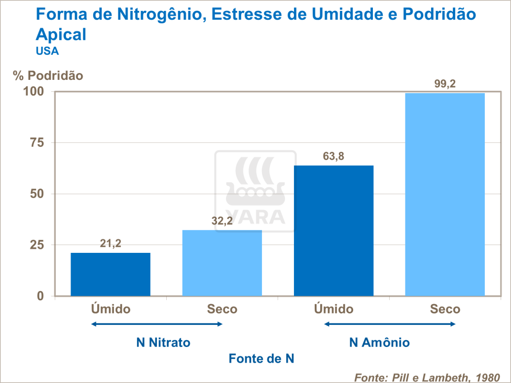 Forma de nitrog&ecirc;nio